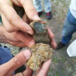 Les sols hydromorphes, leur caractérisation et leur fonctionnement, intérêt d’une approche par le milieu.