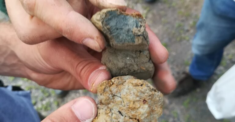 Les sols hydromorphes, leur caractérisation et leur fonctionnement, intérêt d’une approche par le milieu.