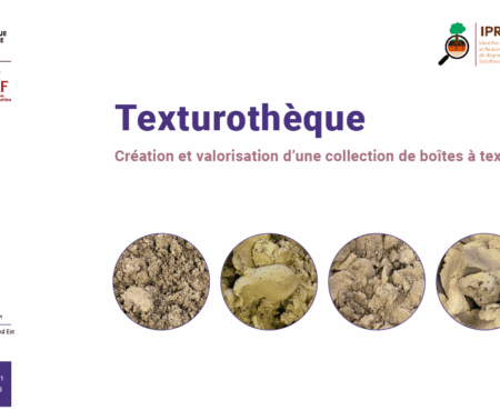 Texturothèque : création et valorisation d’une collection de boîtes à texture