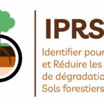 La connaissance de la biodiversité des sols comme outil de gestion forestière ?