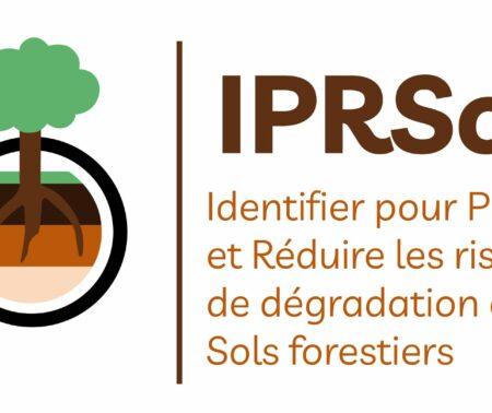 La connaissance de la biodiversité des sols comme outil de gestion forestière ?