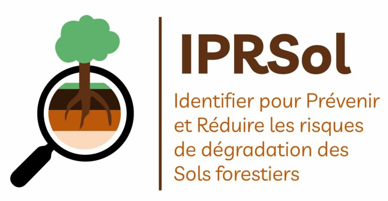 La connaissance de la biodiversité des sols comme outil de gestion forestière ?
