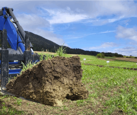 Terres Vivantes & ResulTerre, deux projets bottom-up et living-lab pour la régénération des sols agricoles