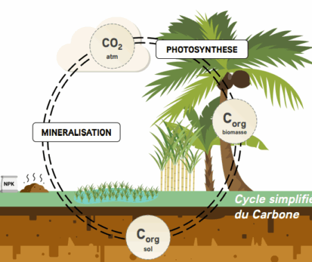 SeqCOI, un outil pour calculer et cartographier les bilans GES des usages des terres sur des territoires de l’Océan Indien