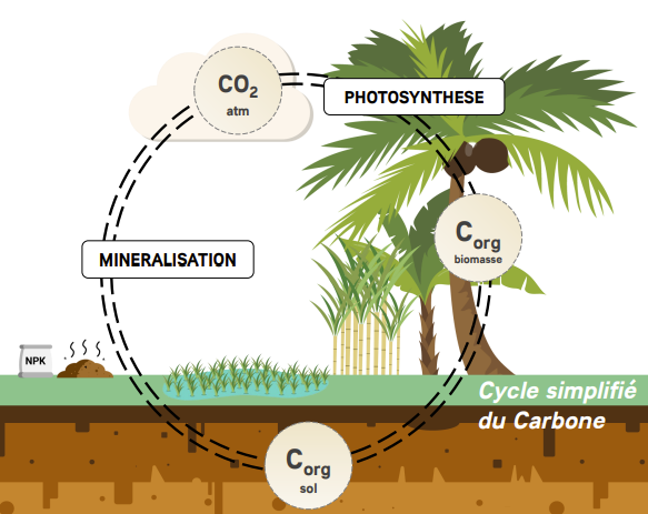 SeqCOI, un outil pour calculer et cartographier les bilans GES des usages des terres sur des territoires de l’Océan Indien