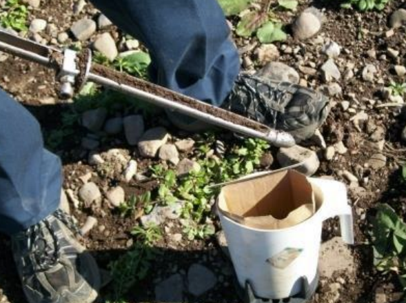 Optimisation des pratiques d’échantillonnage des sols agricoles au Québec : amélioration de la représentativité spatio-temporelle