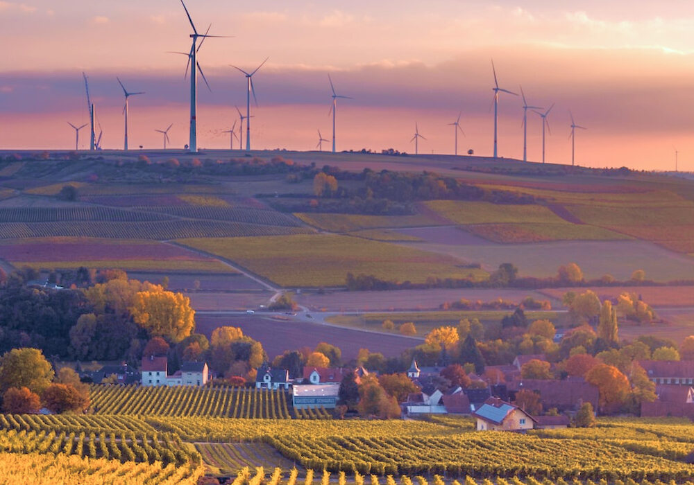 Spreading Open and Inclusive Literacy and Soil Culture thought Artistic Practices and Education – 8 practice abstracts