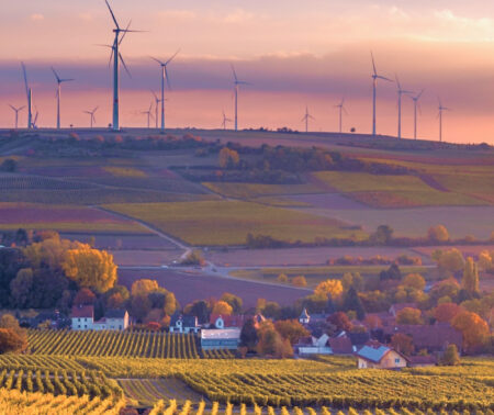 Spreading Open and Inclusive Literacy and Soil Culture thought Artistic Practices and Education – 8 practice abstracts