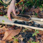 La directive sur la surveillance et la résilience des sols désormais disponible dans les 24 langues de l&rsquo;UE