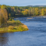 12th BioGeoMon Conference: Ecosystems in Transition