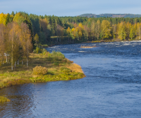 12th BioGeoMon Conference: Ecosystems in Transition