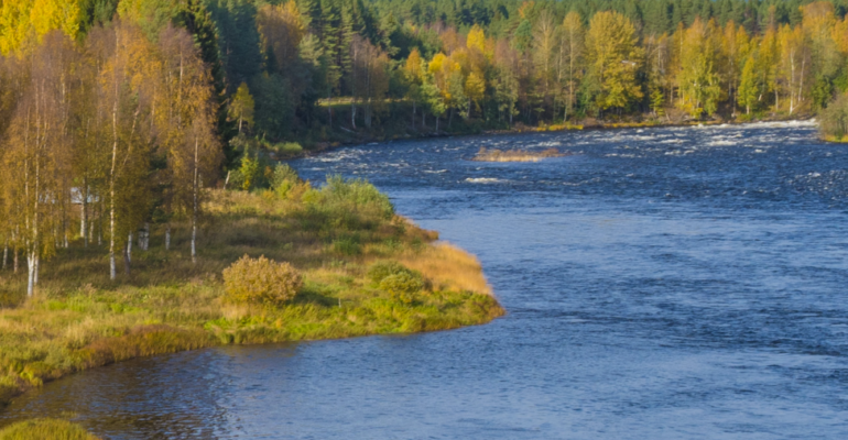 12th BioGeoMon Conference: Ecosystems in Transition