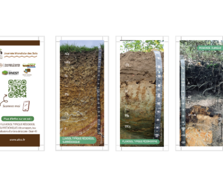 Marques-pages 11 à 15 de la Journée Mondiale des Sols 2025_version pro
