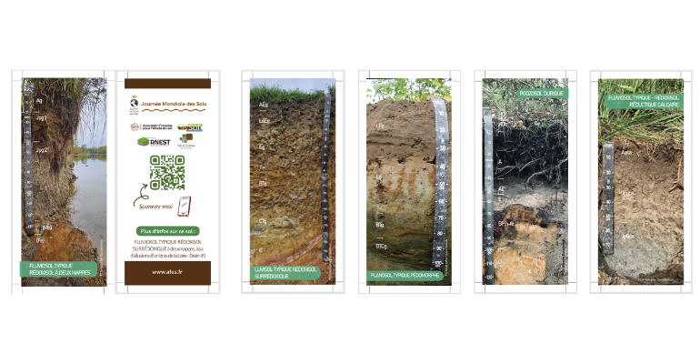 Marques-pages 11 à 15 de la Journée Mondiale des Sols 2025_version pro