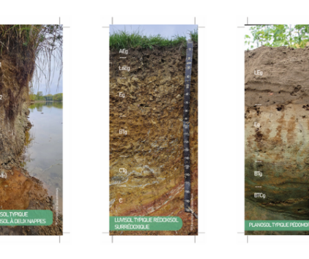 Marques pages profils de sol – collection complète pour impression maison