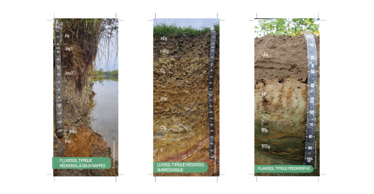 Marques pages profils de sol – collection complète pour impression maison