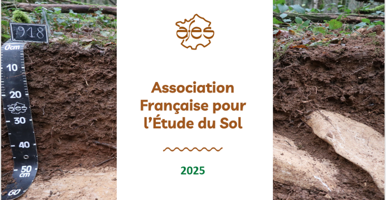 Présentation de l&rsquo;AFES