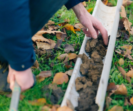Devenir référent·e sur la qualité des sols forestiers