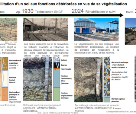 JMS 2025 Atelier : Evaluation de la santé des sols urbains dans le cadre des opérations d’aménagement
