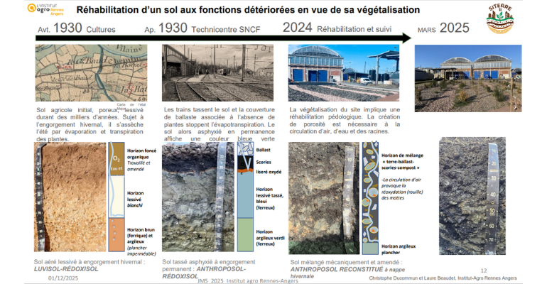 JMS 2025 Atelier : Evaluation de la santé des sols urbains dans le cadre des opérations d’aménagement