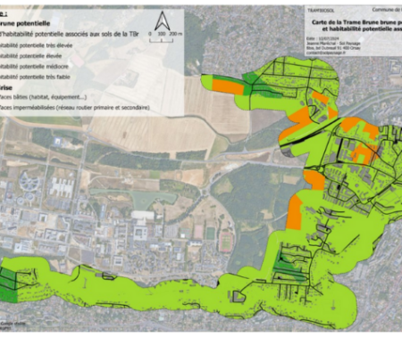 JMS 2025 Atelier : La trame brune, exemples et débats autour d’un concept émergent