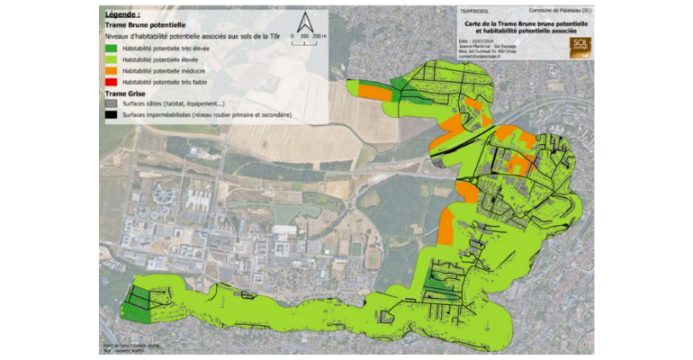 JMS 2025 Atelier : La trame brune, exemples et débats autour d’un concept émergent