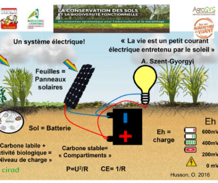 JMS 2025 Présentation : Notre perception des sols