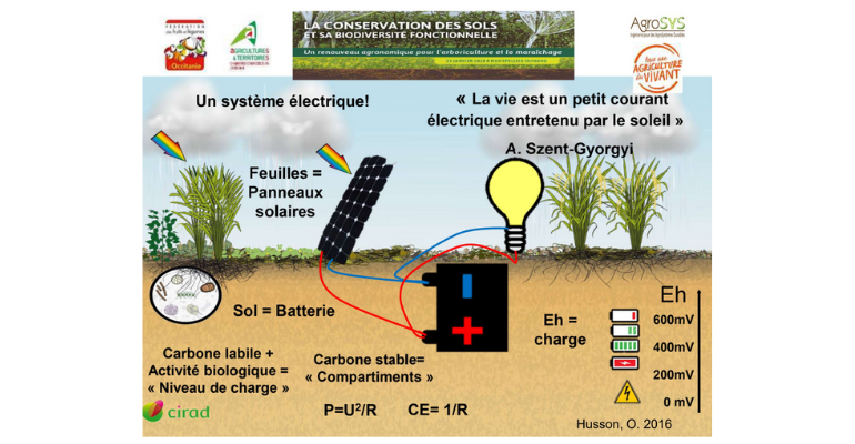 JMS 2025 Présentation : Notre perception des sols