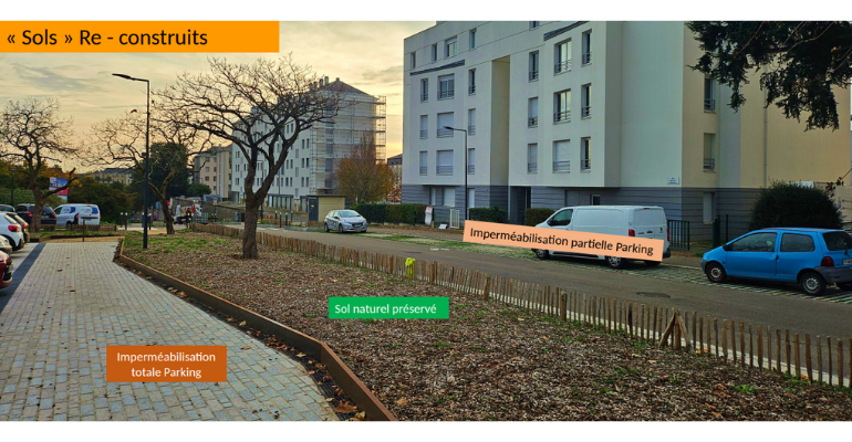 JMS 2025 Présentation : Qu’est-ce qu’un sol urbain, comment  (re)construire un sol ?