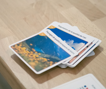 Devenir animateur pro de la Fresque du sol