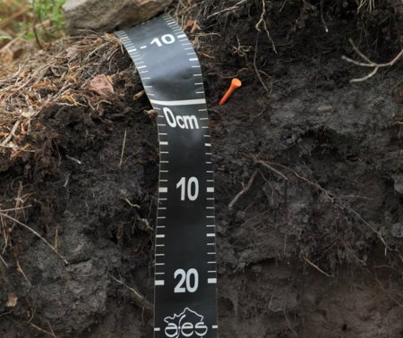 Se former à la description de sol sur le terrain