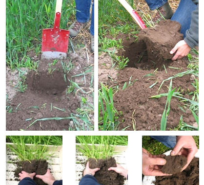 Fiche technique test bêche VESS