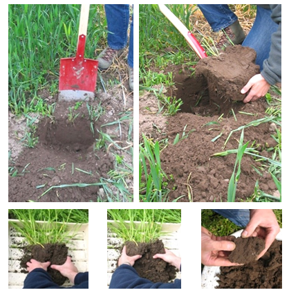 Fiche technique test bêche VESS