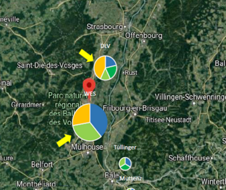 Transdisciplinary participatory-action-research from questions to actionable knowledge for sustainable viticulture development