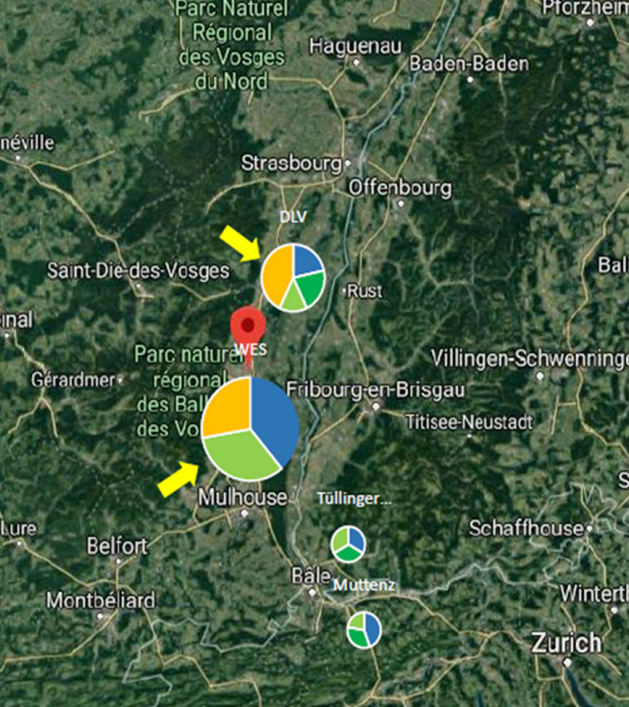 Transdisciplinary participatory-action-research from questions to actionable knowledge for sustainable viticulture development