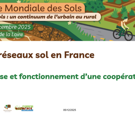 Les réseaux sols en France, genèse et fonctionnement d&rsquo;une coopération