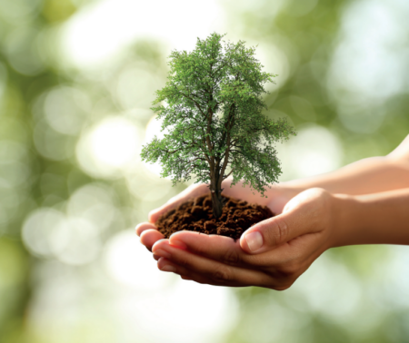 Responsabilité et environnement : préserver les sols