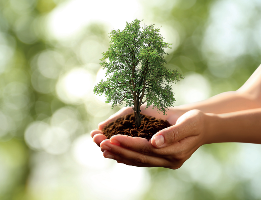 Responsabilité et environnement : préserver les sols