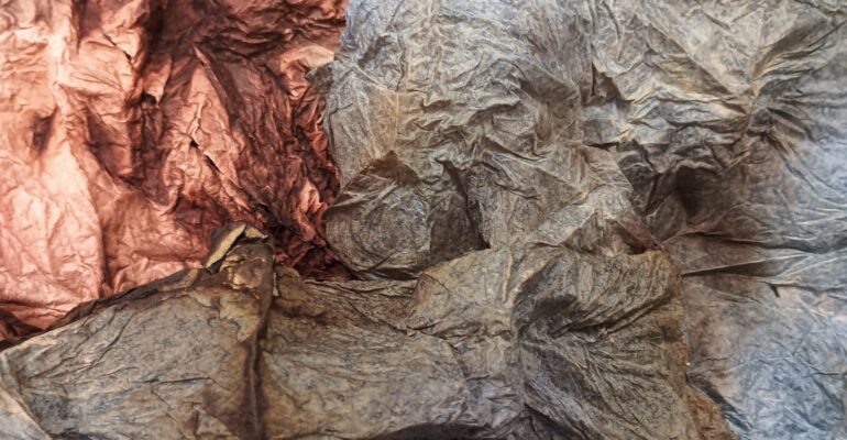 La dynamique Sols & Arts en France