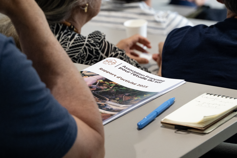 Rapport d&rsquo;activité 2025