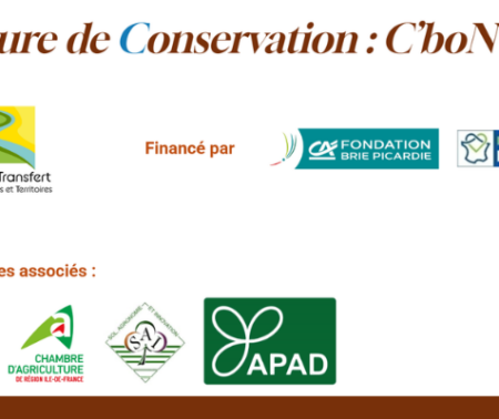 Gestion de l’N et stockage de C dans les sols en Agriculture de conservation : des idées préconçues aux pratiques innovantes
