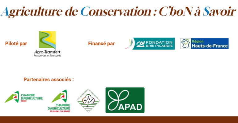 Gestion de l’N et stockage de C dans les sols en Agriculture de conservation : des idées préconçues aux pratiques innovantes