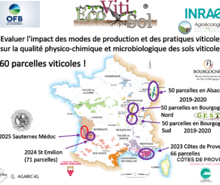 Présentation « Les programmes de SRP Sols en agriculture, exemple du projet EcoVitiSol »