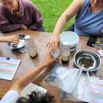 Portrait de porteurs de projet : REASOL