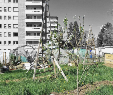 Pour une prise en compte de la multifonctionnalité des sols dans l&rsquo;aménagement du territoire