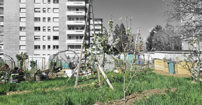 Pour une prise en compte de la multifonctionnalité des sols dans l&rsquo;aménagement du territoire