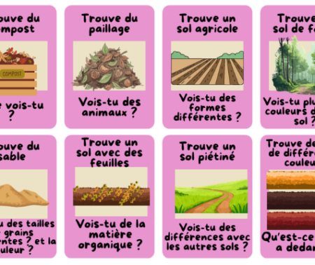Kit pédagogique de l&rsquo;atelier Les Sens du Sol – cartes actions