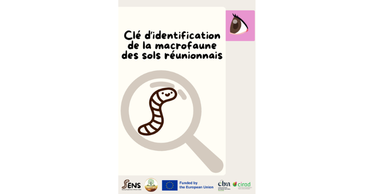 Kit pédagogique de l&rsquo;atelier Les Sens du Sol – clé d&rsquo;identification de la macrofaune