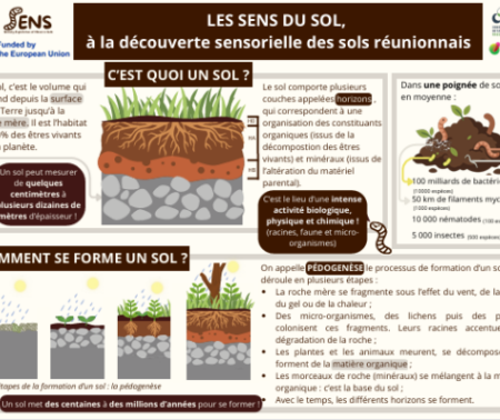 Kit pédagogique de l&rsquo;atelier Les Sens du Sol – poster