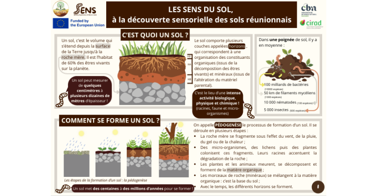 Kit pédagogique de l&rsquo;atelier Les Sens du Sol – poster